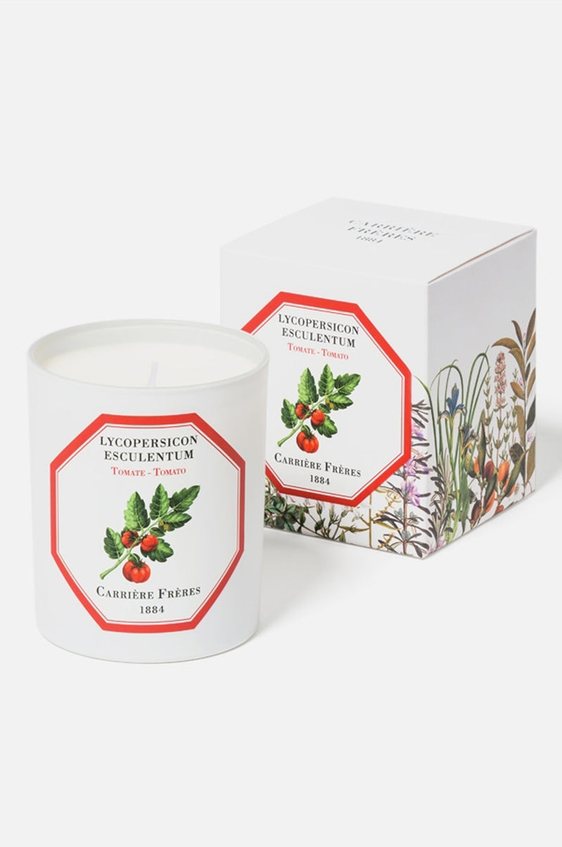 Carriere Freres Tomato Candle.