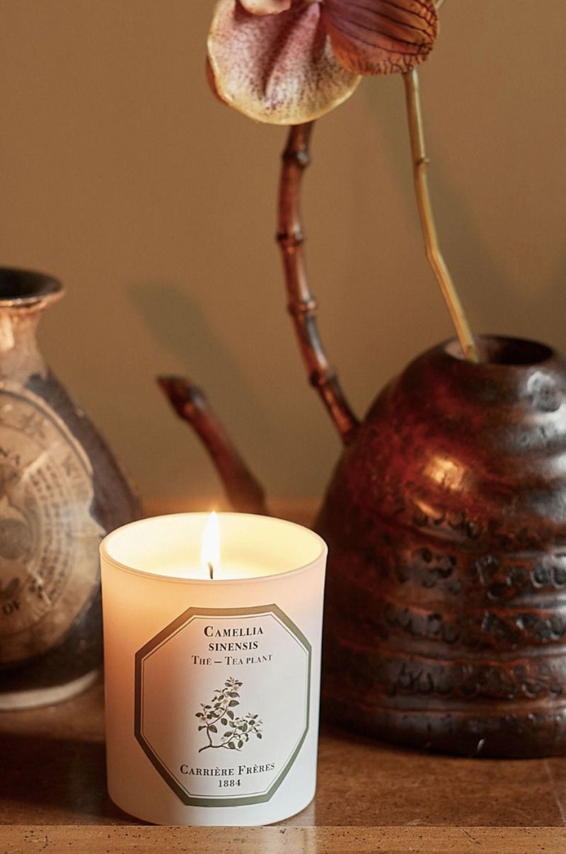 Carriere Freres Tea Plant Candle.