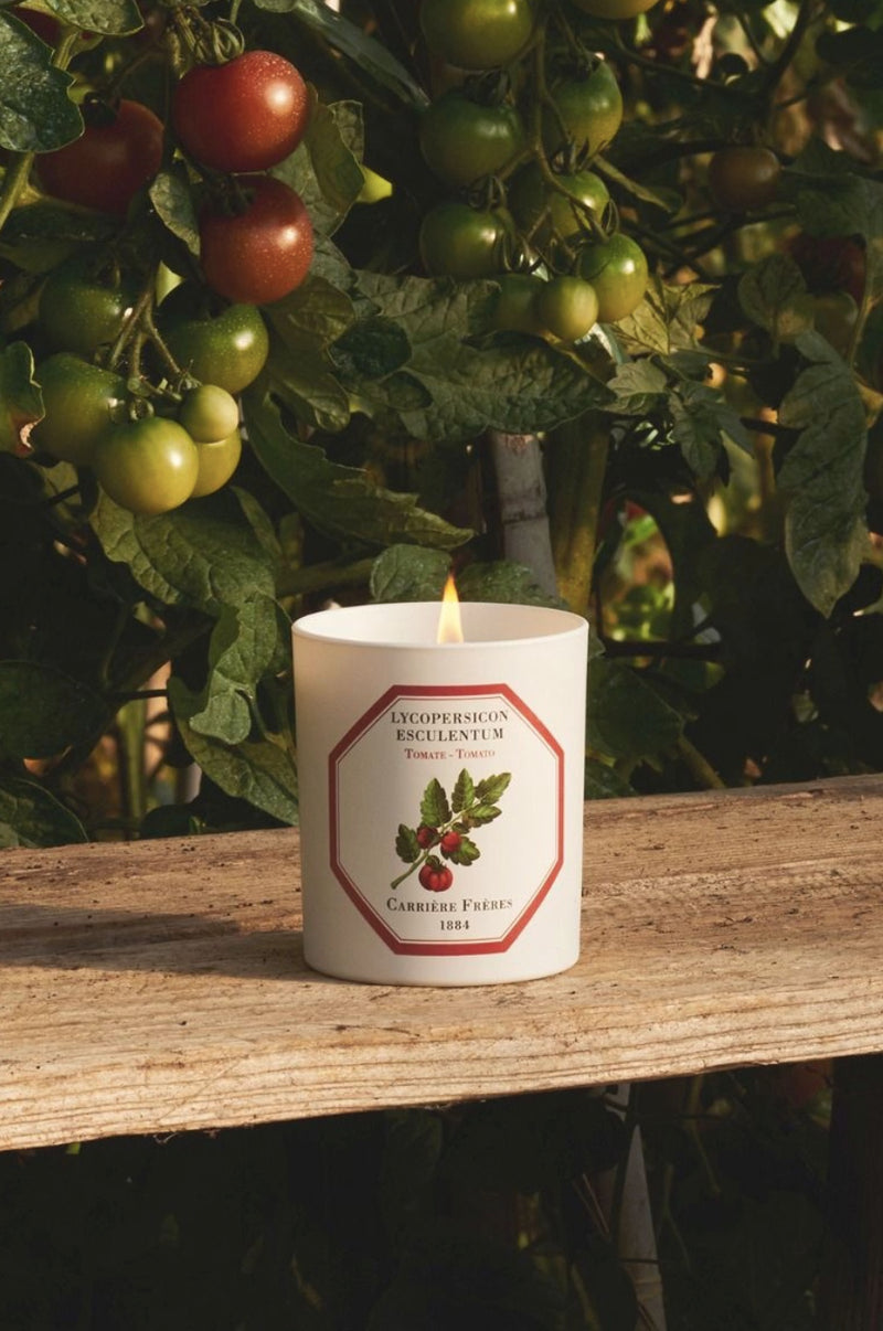 Carriere Freres Tomato Candle.